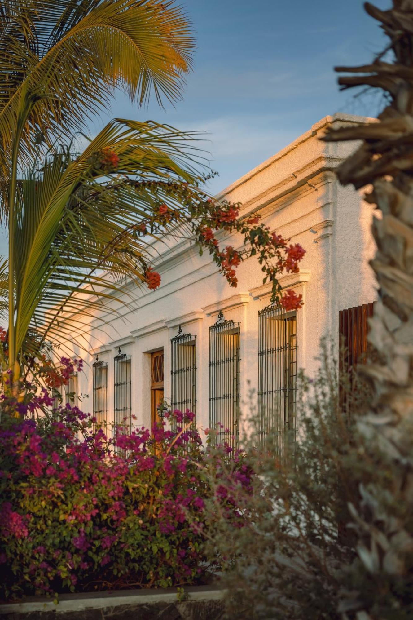 Baja Club Hotel, La Paz, Baja California Sur, A Member Of Design Hotels 外观 照片
